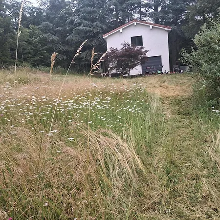 Maison Des Bois